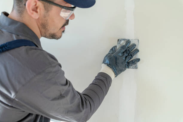 Best Mold Removal for HVAC Installations  in Archdale, NC