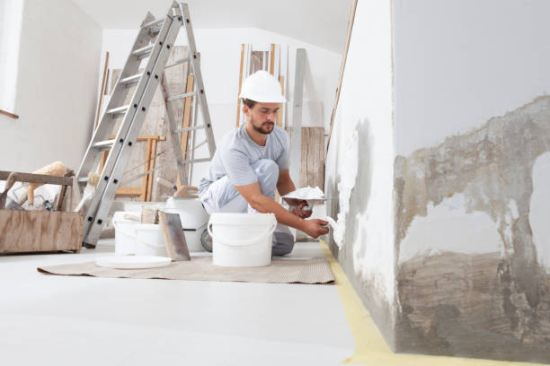 Best Comprehensive Air Testing for Mold Contaminants  in Archdale, NC