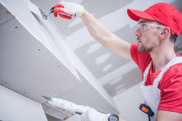 Best Commercial Mold Inspection  in Archdale, NC